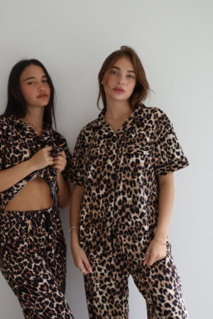 A taiger ריפ סט